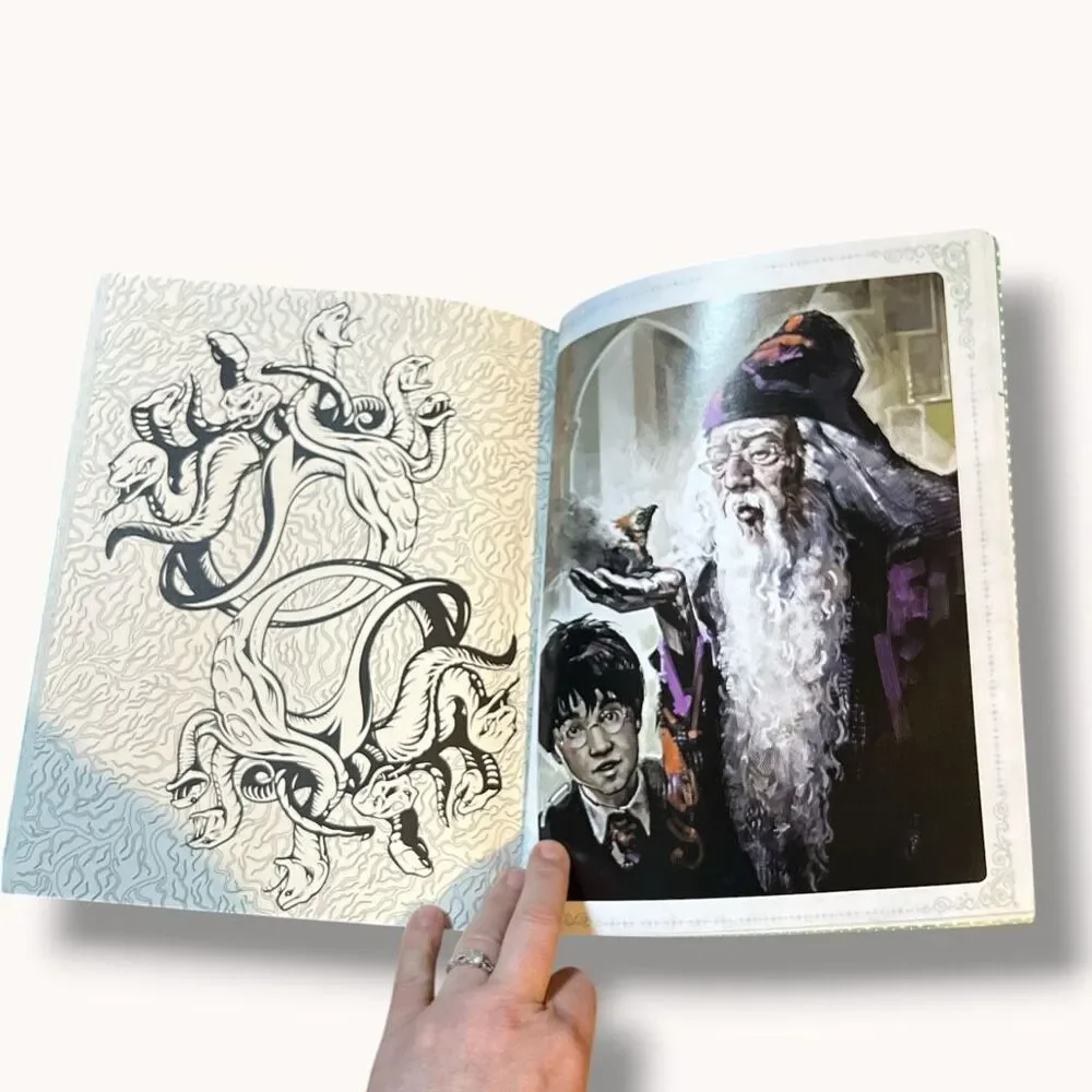 Scholastic hedwig while gift